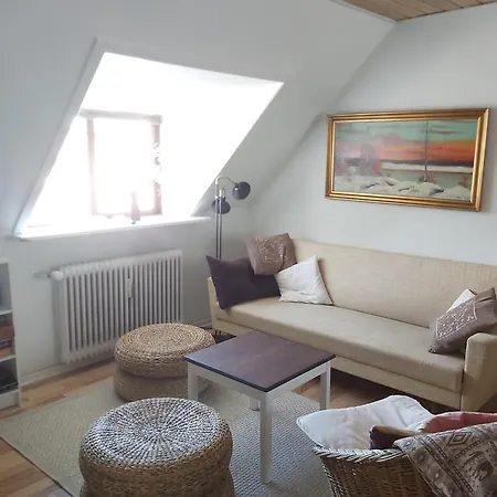 Apartmán Dossinghus *